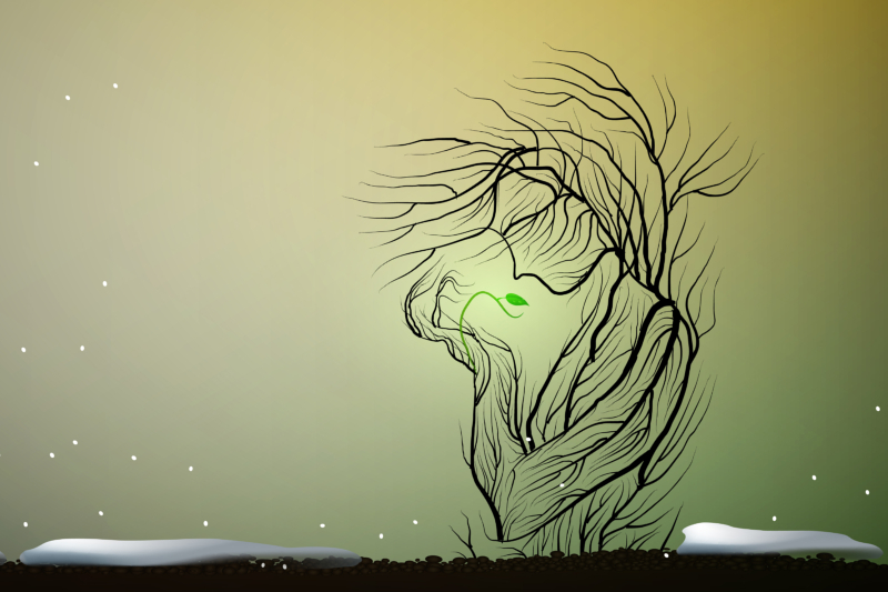 Suplimentul de suflet prin cuvinte declarate Suplimentul de suflet prin cuvinte declarate