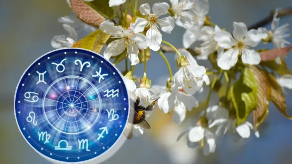 Horoscop 20 martie 2025, previziuni pentru orice zodie Horoscop 20 martie 2025, previziuni pentru orice zodie